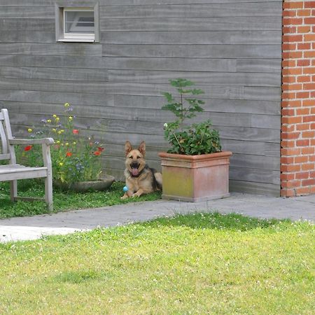 B&B Pierre-Marie Bovekerke Zewnętrze zdjęcie